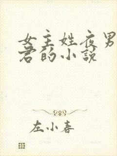 女主姓夜男主姓君的小说