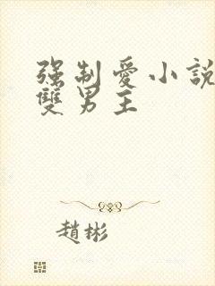 强制爱小说推荐双男主