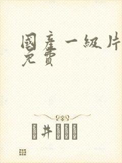 国产一级片精品免费