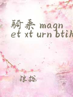骑乘 magnet xt urn btih