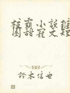 校霸小说推荐校园甜宠文短篇