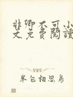 非卿不可小说全文免费阅读