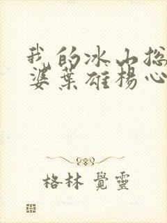 我的冰山总裁老婆叶雄杨心怡