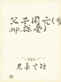 父子同穴(双性,np.总受)