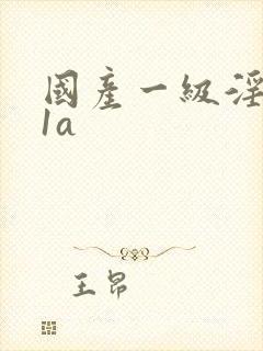 国产一级淫片91a