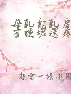 母乳期乳房里面有硬块还疼怎么回事