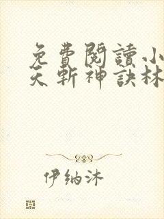 免费阅读小说九天斩神诀林辰