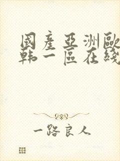 国产亚洲欧美日韩一区在线观看