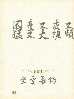 国产又爽又粗又猛又大视频