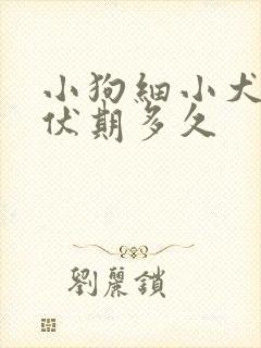 小狗细小犬瘟潜伏期多久