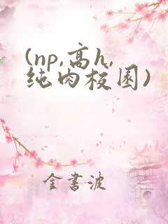 (np,高h,纯肉校园)