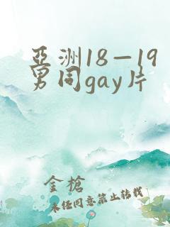 亚洲18—19男同gay片