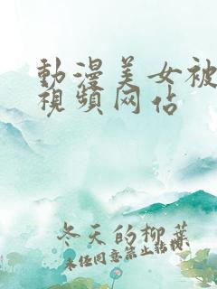动漫美女被xb视频网站