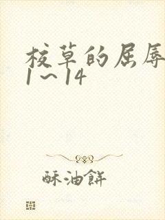 校草的屈辱调教1～14