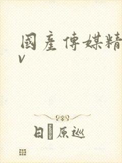 国产传媒精品av