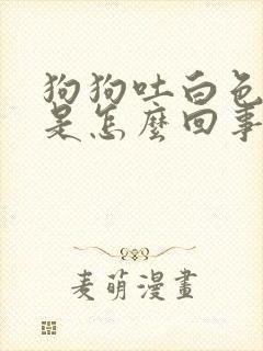 狗狗吐白色粘液是怎么回事