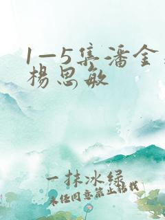 1—5集潘金莲杨思敏