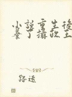 小说重生后我娇养了摄政王小说