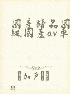 国产精品国产三级国产av车上的