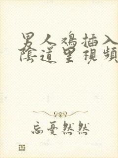 男人鸡插入女人阴道里视频