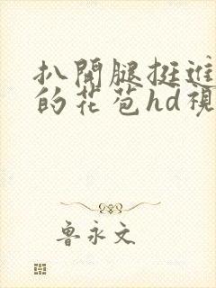 扒开腿挺进湿润的花苞hd视频