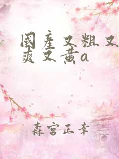 国产又粗又猛又爽又黄a