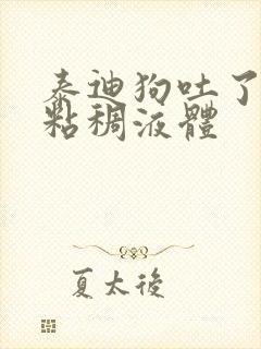 泰迪狗吐了黄黄粘稠液体