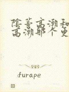 阴蒂高潮和阴道高潮那个更舒服