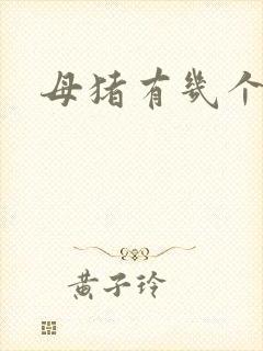 母猪有几个奶头