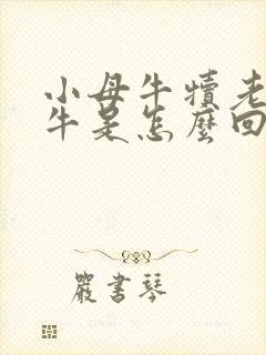 小母牛犊老是爬牛是怎么回事