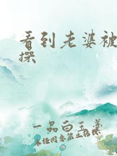 看到老婆被别人操