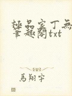 极品家丁无删节笔趣阁txt