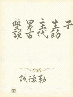 双男主生子文小说古代的