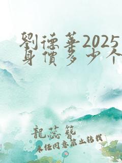 刘德华2025身价多少个亿