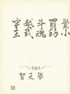 穿越斗罗觉醒圣主武魂的小说