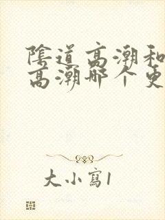 阴道高潮和阴蒂高潮哪个更爽