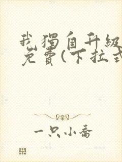 我独自升级漫画免费(下拉式)