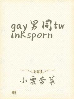 gay男同twinksporn