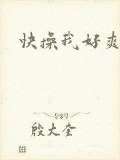 快操我好爽视频