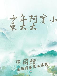 少年阿宾小说房东太太