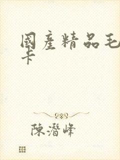 国产精品毛片不卡