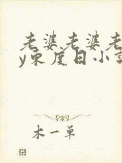 老婆老婆老婆by东度日小说笔趣阁全文阅读