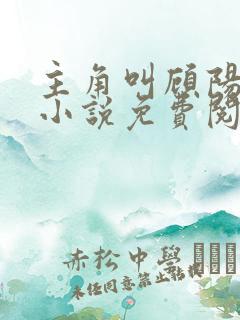 主角叫顾阳律师小说免费阅读