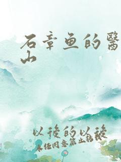 石章鱼的医统江山