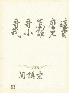 哥哥怎么这样看我小说免费阅读无弹窗