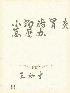 小狗肠胃炎拉血怎么办