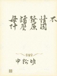 母猪发情不静立什么原因