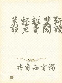 叶轻离裴靳墨小说免费阅读无弹窗