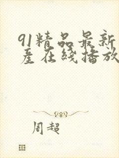 91精品最新国产在线播放