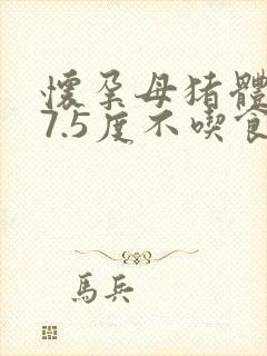 怀孕母猪体温37.5度不吃食怎么办